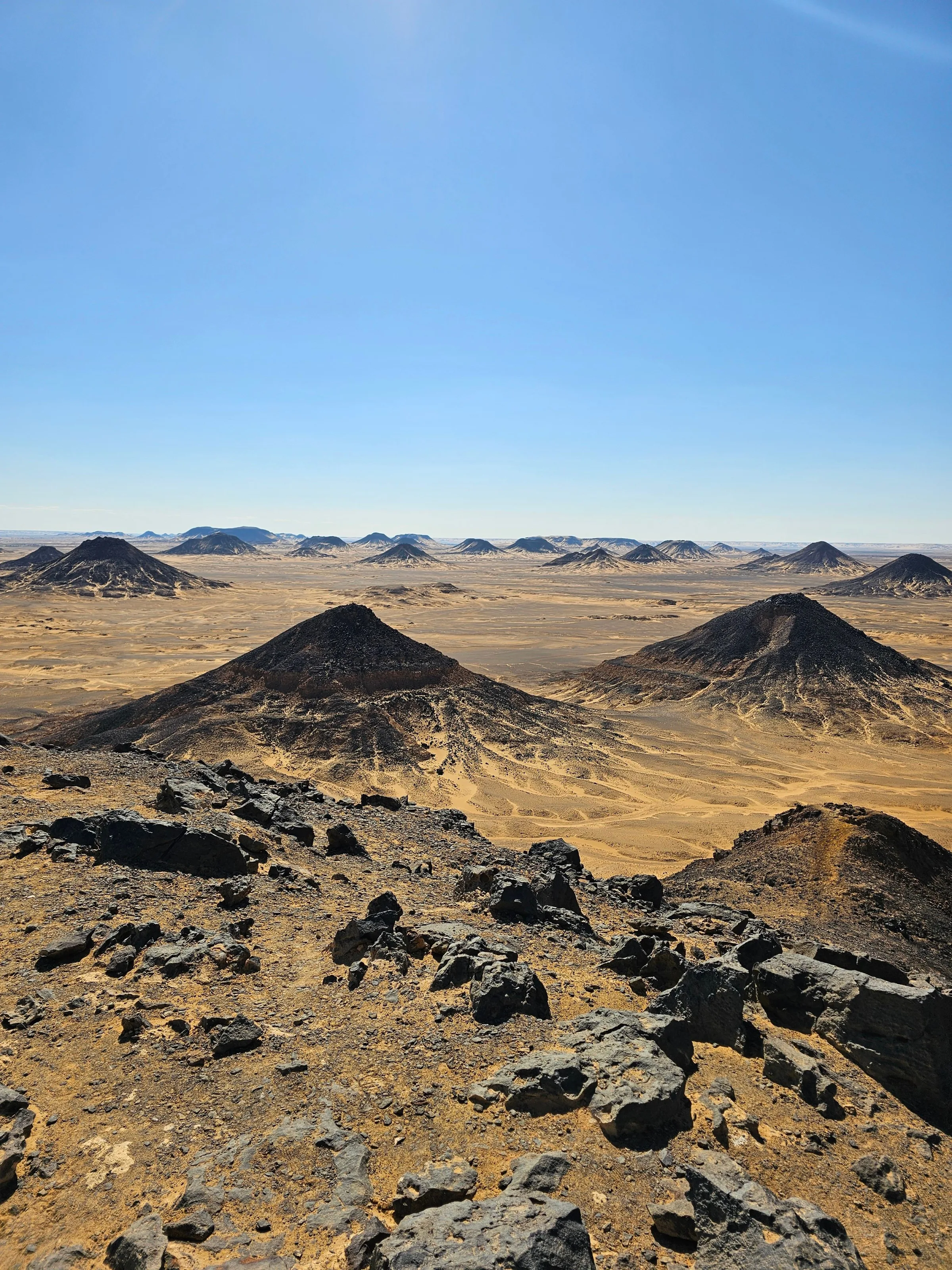 The Black Desert: Where Black Landscapes Meet Golden Sands