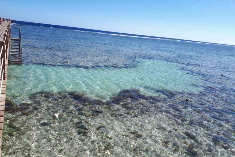 فندق نوفوتيل مرسى علم 5*